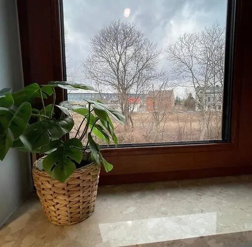 New One Bedroom With Balcony