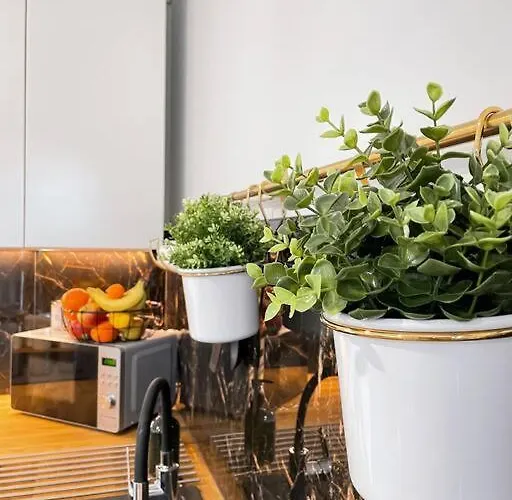 New One Bedroom With Balcony *