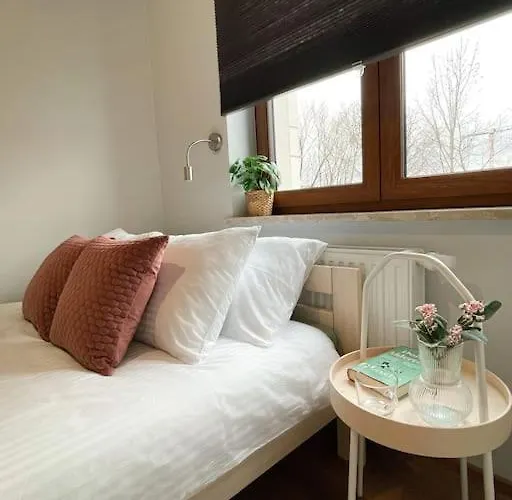 New One Bedroom With Balcony Apartament